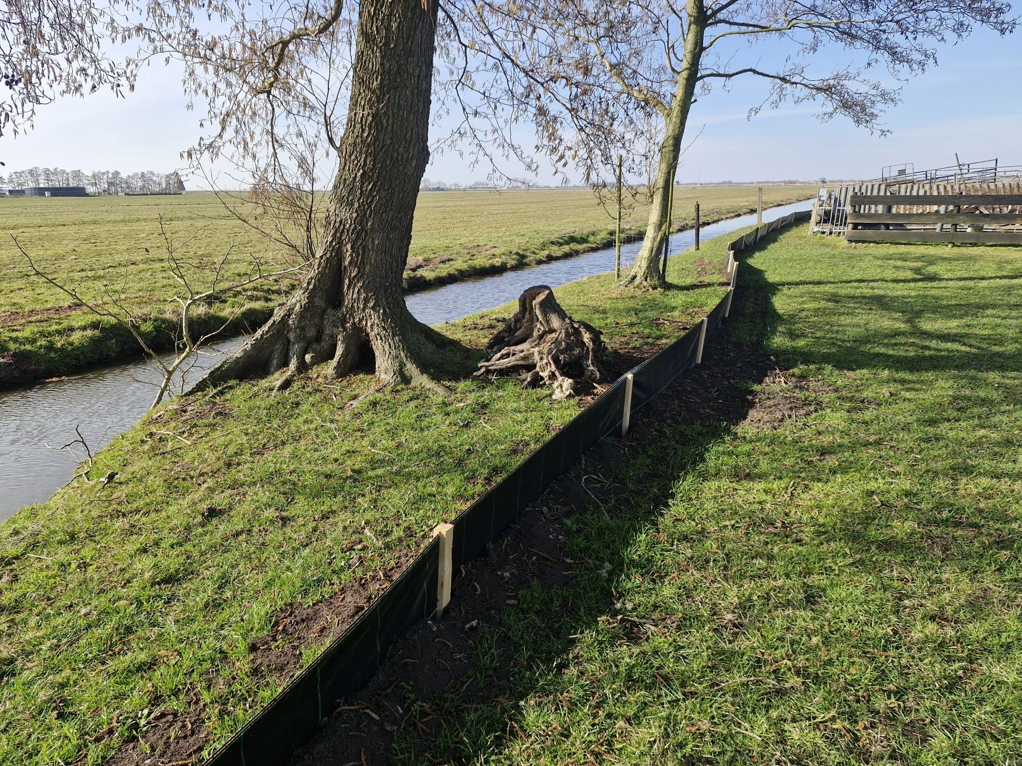 Faunavoorzieningen ter voorkoming van rugstreeppad