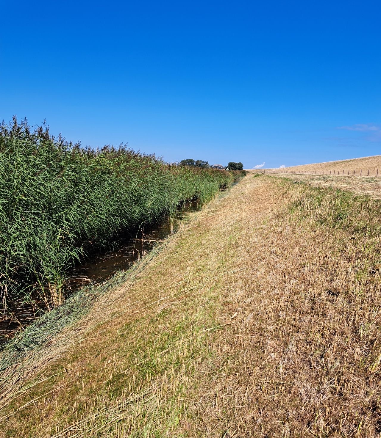Ecologische begeleiding bij maaibeheer